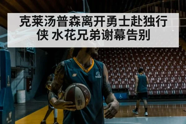 professional basketball player