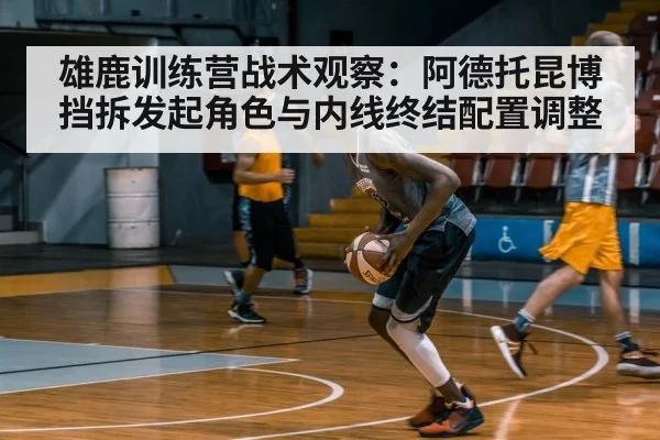 basketball training gym players